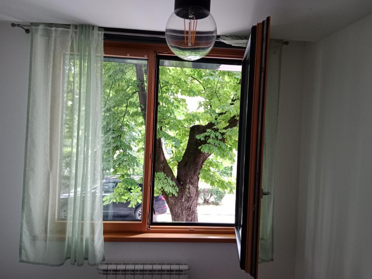 Sava Apartment Novi Sad Ngoại thất bức ảnh